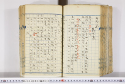 明い004020300002.jpg