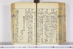 明い004020300007.jpg