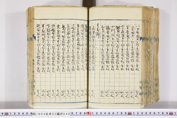 明い004020400002.jpg