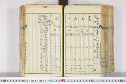 明い004020400009.jpg