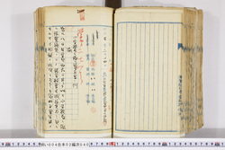 明い004020400012.jpg