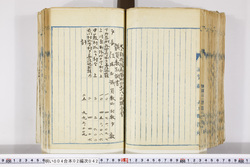明い004020420004.jpg