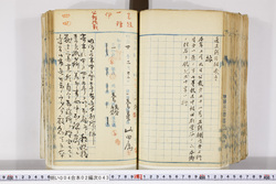 明い004020430002.jpg
