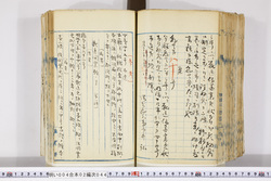 明い004020440002.jpg