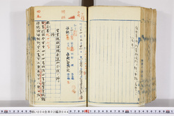 明い004020440003.jpg
