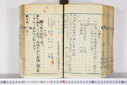 明い004020460003.jpg