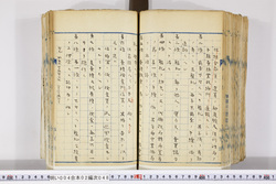 明い004020480003.jpg