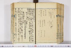 明い004020480004.jpg