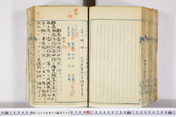 明い004020480009.jpg