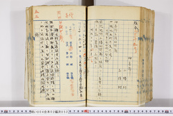 明い004020520002.jpg