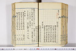 明い004020540002.jpg