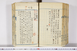 明い004020550002.jpg