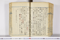 明い004020560002.jpg