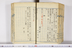 明い004020570002.jpg