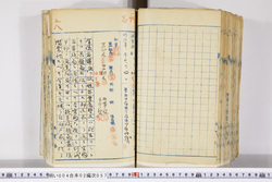 明い004020570003.jpg