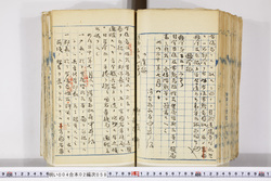 明い004020580002.jpg
