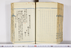 明い004020590003.jpg