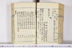 明い004020600002.jpg