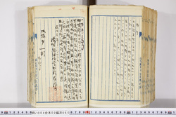明い004020600005.jpg