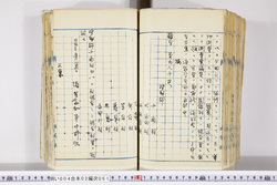 明い004020610002.jpg