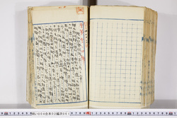 明い004020610004.jpg