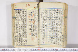 明い004020620002.jpg