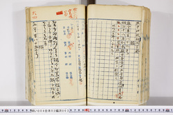 明い004020630002.jpg
