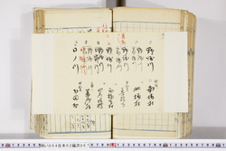 明い004020670003.jpg