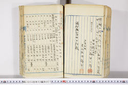 明い004020670006.jpg