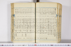 明い004020670007.jpg