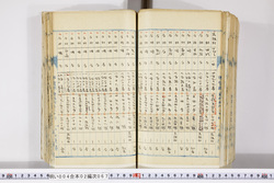 明い004020670014.jpg