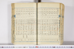 明い004020670015.jpg