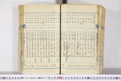 明い004020670016.jpg