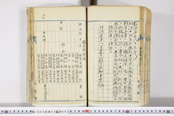 明い004020680002.jpg