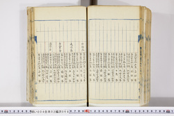 明い004020680006.jpg