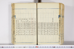 明い004020680007.jpg