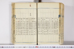 明い004020680008.jpg