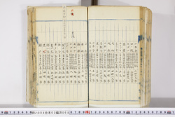 明い004020680009.jpg