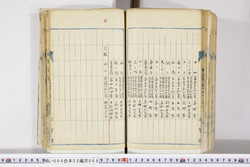 明い004020680010.jpg