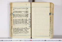 明い004020680011.jpg