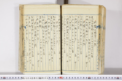 明い004020680016.jpg