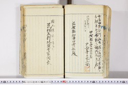 明い004020680019.jpg