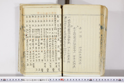 明い004020680020.jpg