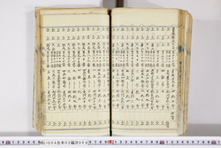 明い004020680021.jpg