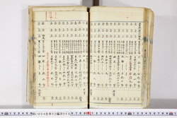 明い004020680022.jpg