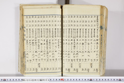 明い004020680023.jpg