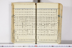 明い004020680024.jpg