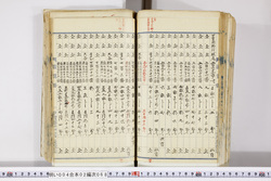 明い004020680025.jpg