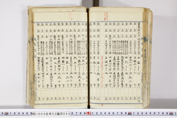 明い004020680028.jpg