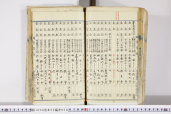 明い004020680029.jpg